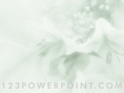 Orchids powerpoint background