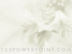 Orchids powerpoint background