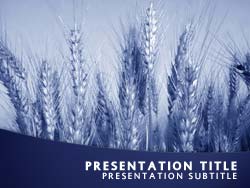 Wheat Title Master slide design